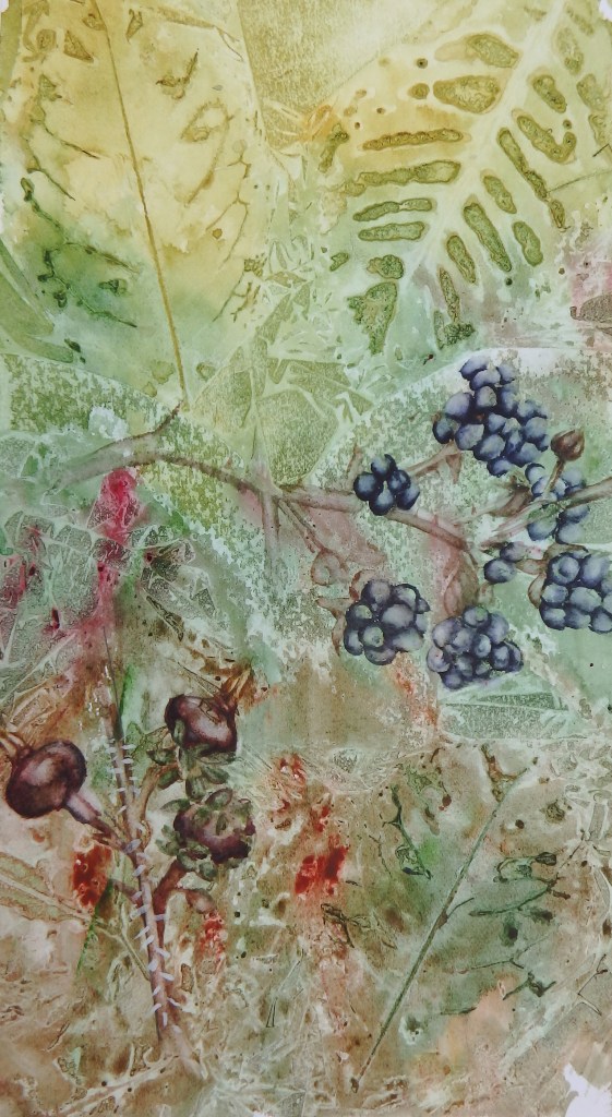 Berries - watercolour